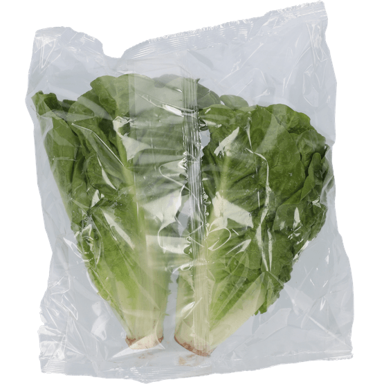 1 de Beste Mini romaine - Dirk