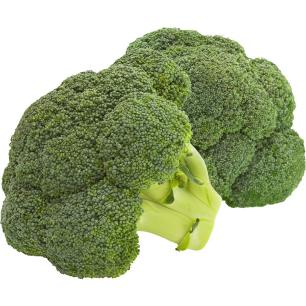 AH Broccoli - Albert Heijn