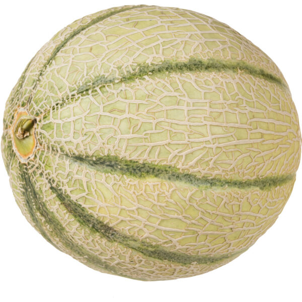 AH Cantaloupe Meloen - Albert Heijn