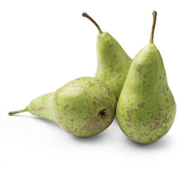 AH Conference Peren - Albert Heijn