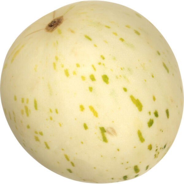 AH Dino Meloen - Albert Heijn