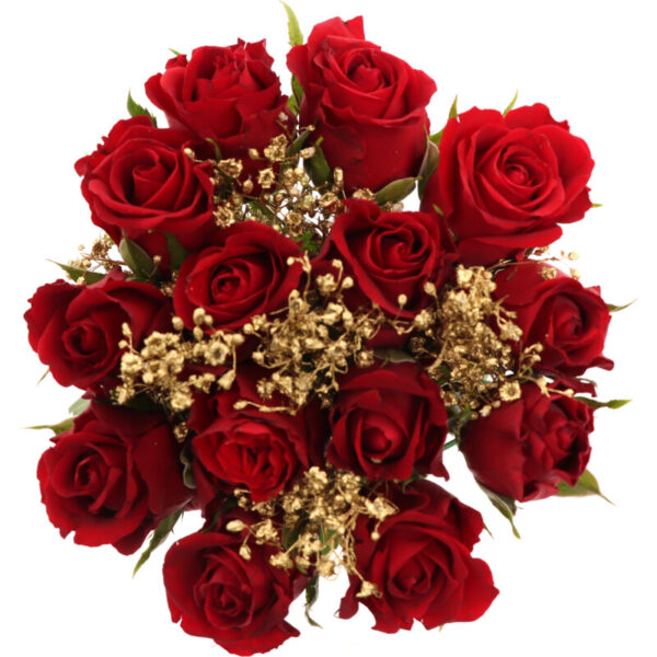 AH Feestrozen met Gips - Albert Heijn