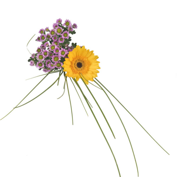 AH Gemengde Bloemen - Albert Heijn