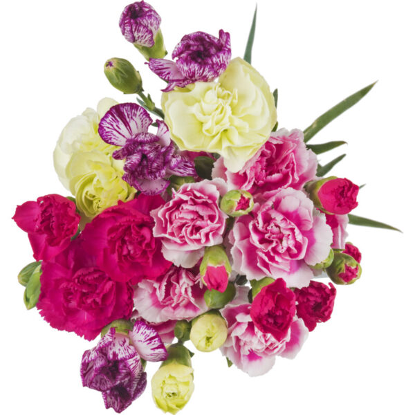 AH Gemengde Trosanjers - Albert Heijn