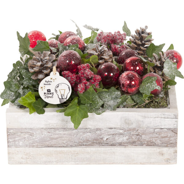 AH Kerstarrangement Mand Vierkant LED - Albert Heijn
