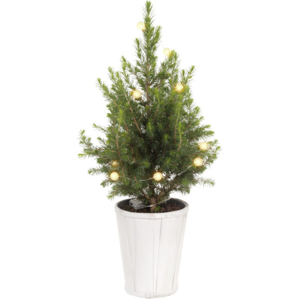 AH Kerstboom Versierd met Verlichting - Albert Heijn