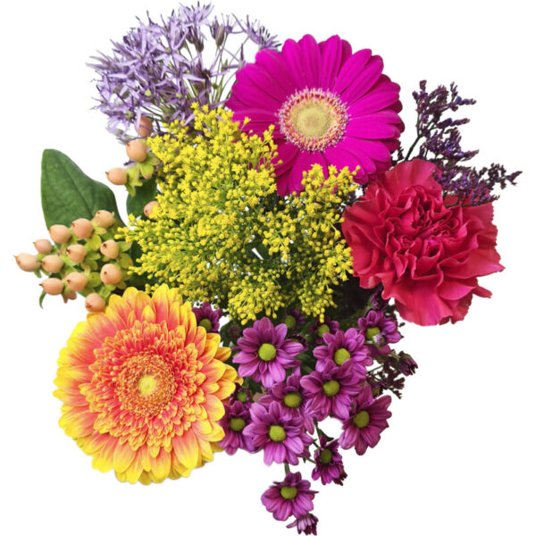 AH Lentemix Medium - Albert Heijn