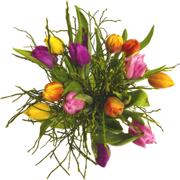 AH Mix Tulpen - Albert Heijn