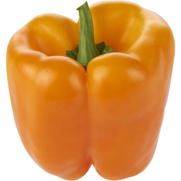 AH Paprika Oranje Los - Albert Heijn