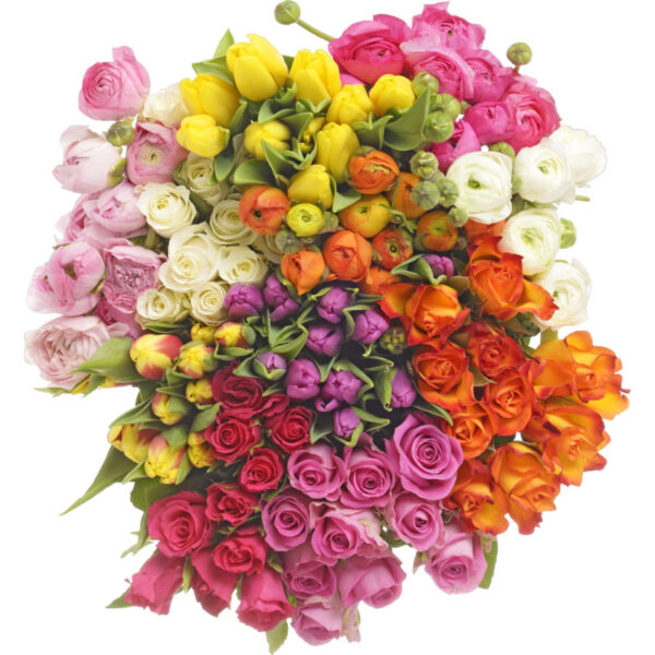 AH Ranonkels - Albert Heijn