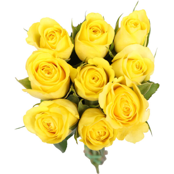 AH Rozen - Albert Heijn