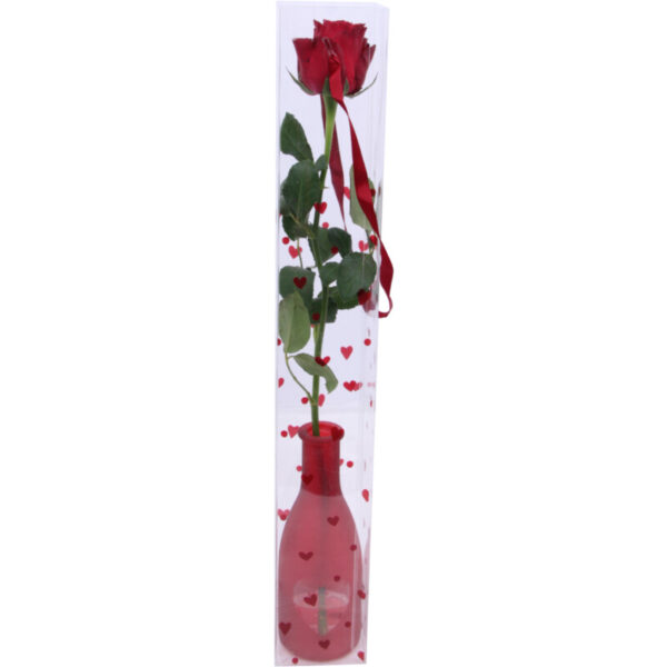 AH Valentijn Rode Roos in Vaasje - Albert Heijn