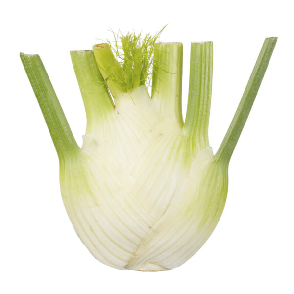 AH Venkel - Albert Heijn