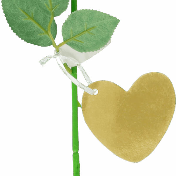 Avec Valentijn roos - PLUS