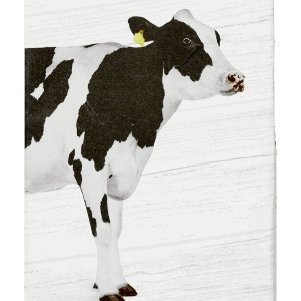 BIO+ Houdbare volle melk - PLUS