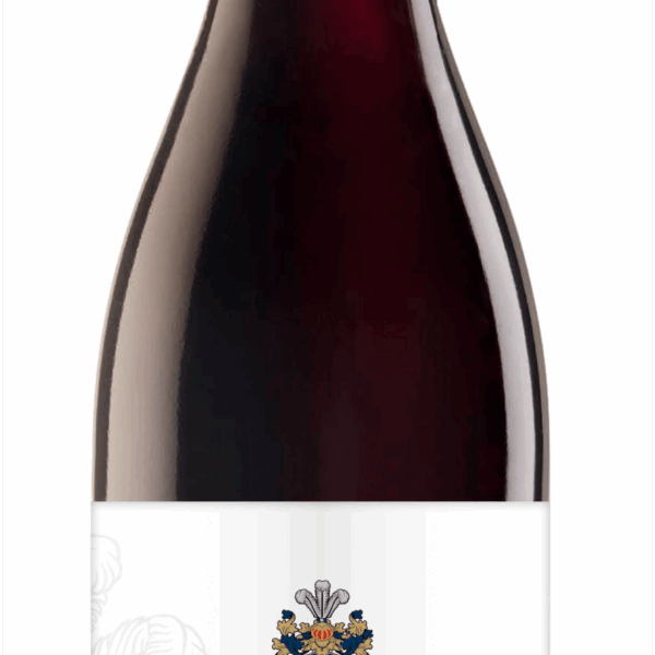 Baron von Maydell Spätburgunder Pinot Noir - PLUS
