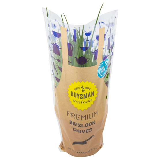 Bieslook grote pot - Dirk