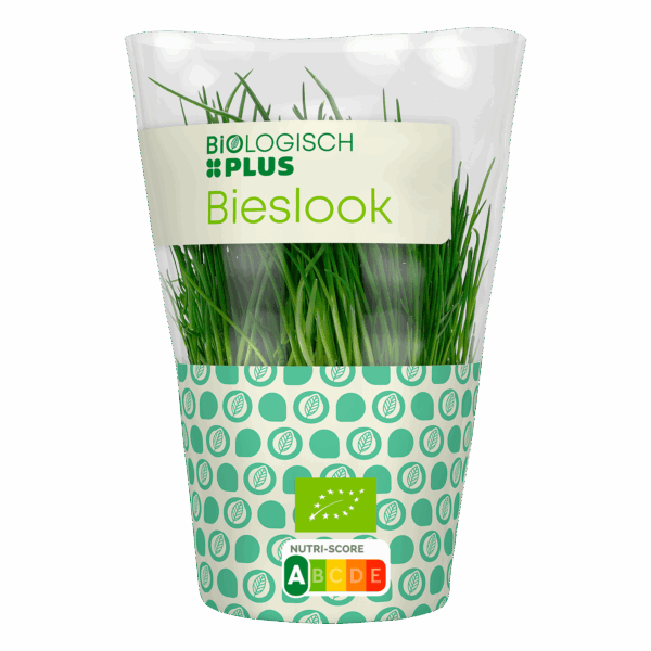 Biologisch PLUS Bieslook - PLUS