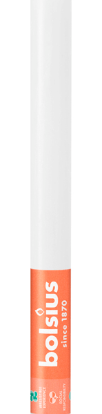 Bolsius Tafelkaars 270/23 Rustic CWE - PLUS