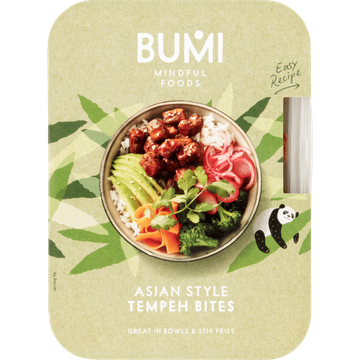 Bumi Asian Style Tempeh Bites - JUMBO
