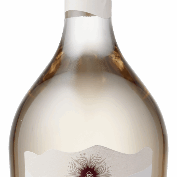 Colle dei Venti Caldora Merlot Rosé - PLUS