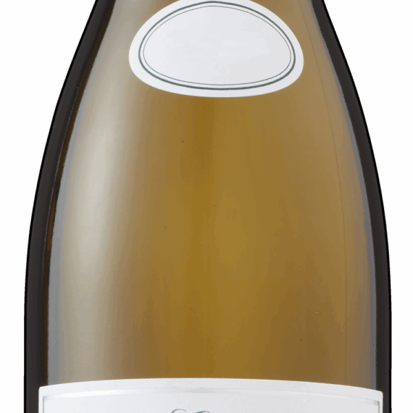 Comte de St Aignan Touraine Sauvignon Blanc - PLUS