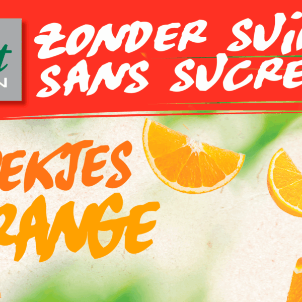 Damhert Zonder Suikers Sinaaskoekje - PLUS