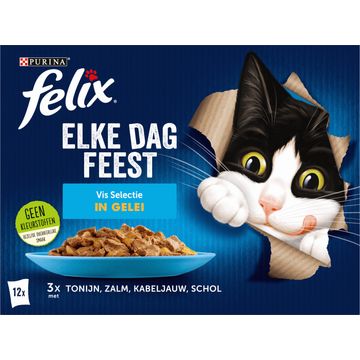FELIX® Elke Dag Feest Vis Selectie in Gelei Kattenvoer - JUMBO