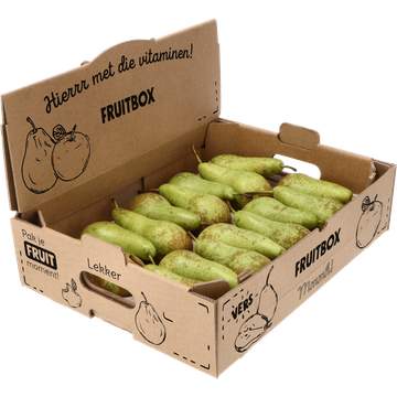 Fruitbox Conference Peren - JUMBO
