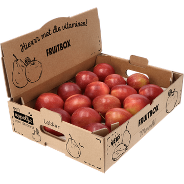 Fruitbox Jonagold Appels - JUMBO