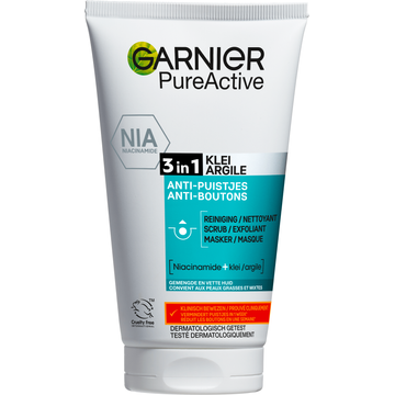 Garnier SkinActive Pure Active 3 in 1 met Klei Argile - JUMBO
