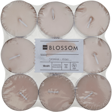 HEMA Sfeerlichten Blossom 18 Stuks - JUMBO