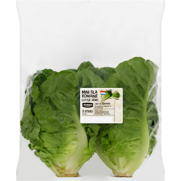 JUMBO Mini Sla Romaine Little Gem 2 Stuks - JUMBO