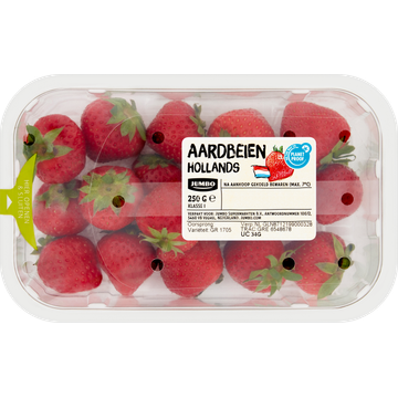 Jumbo Aardbeien Hollands - JUMBO