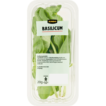 Jumbo Basilicum - JUMBO