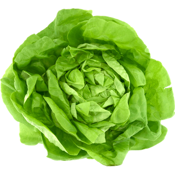 Jumbo Kropsla - JUMBO