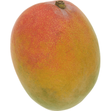 Jumbo Mango - JUMBO