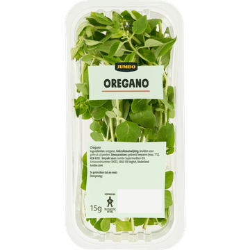 Jumbo Oregano - JUMBO