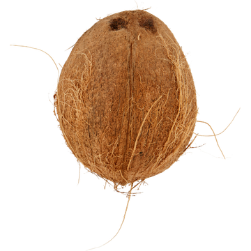 Kokosnoot - JUMBO