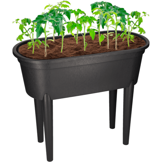 Kweektafel op poten - Dirk