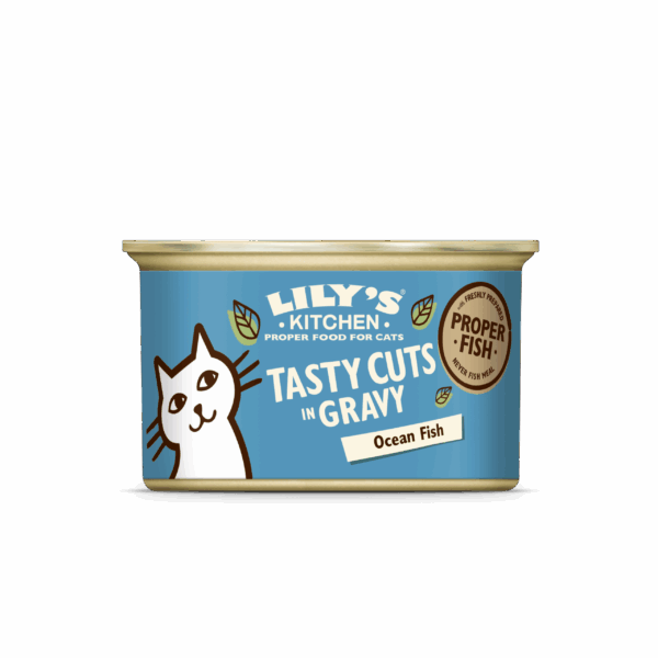 Lily's Kitchen Cat Tasty Cuts Fish Gravy Blik - PLUS