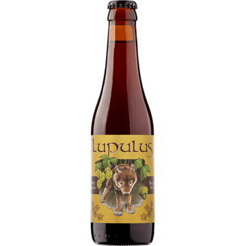 Lupulus - Bruin Bier - Fles - JUMBO