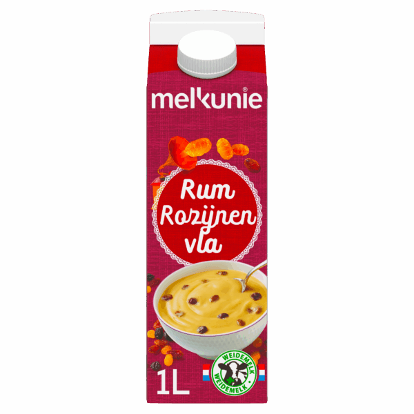 Melkunie Fruitvla rum-rozijnen - PLUS