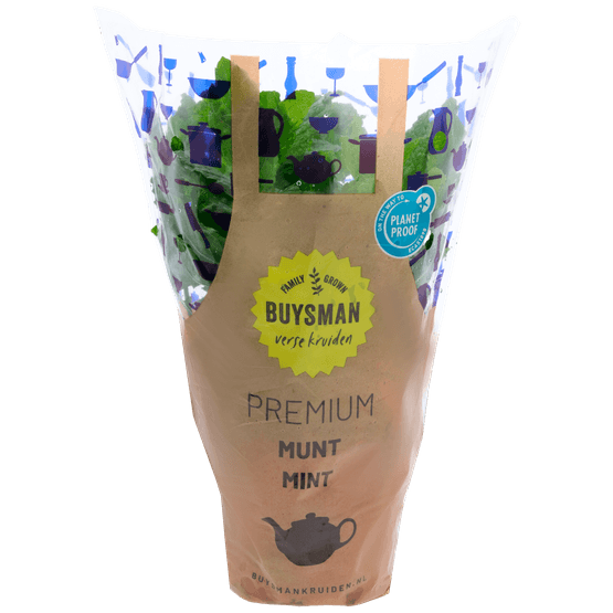 Munt grote pot - Dirk