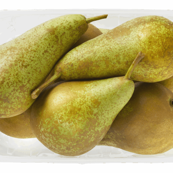 Neutraal Handperen Conference - PLUS