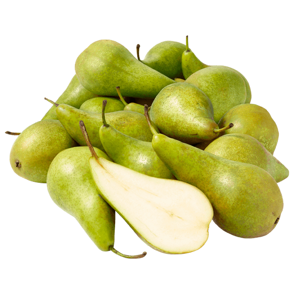 PLUS Conference Peren los - PLUS