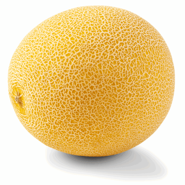 PLUS Galia meloen - PLUS