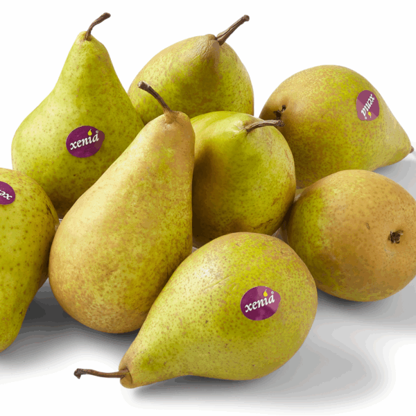 PLUS Handperen Xenia - PLUS