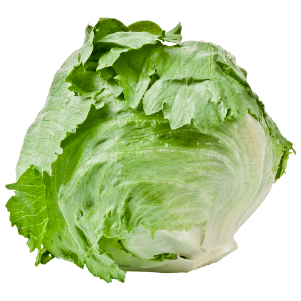 PLUS IJsbergsla krop - PLUS