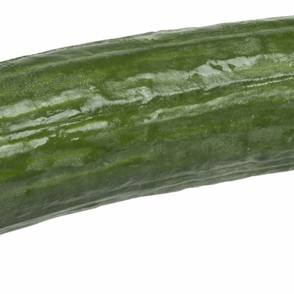 PLUS Komkommer - PLUS